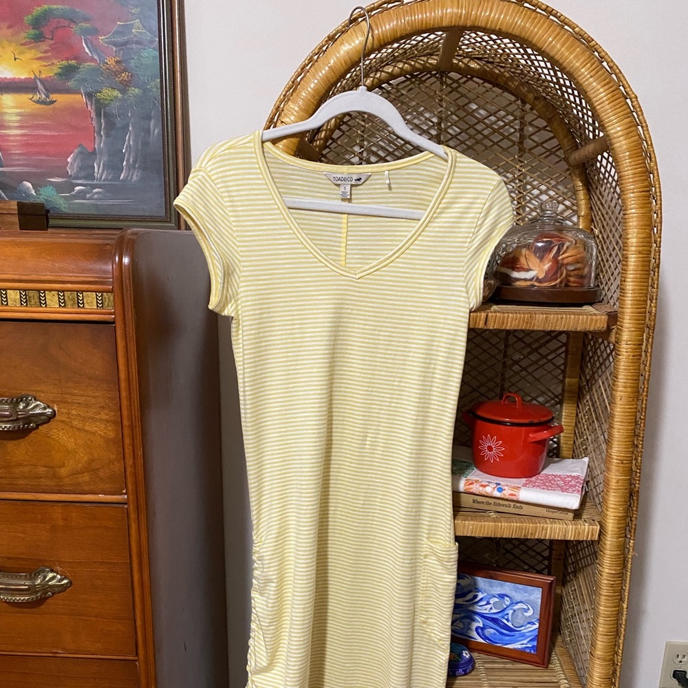 Toad & Co Samba Muse Dress